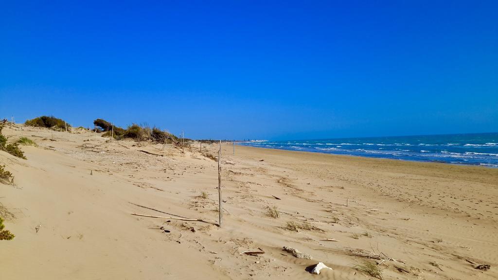 Le Dune 3*