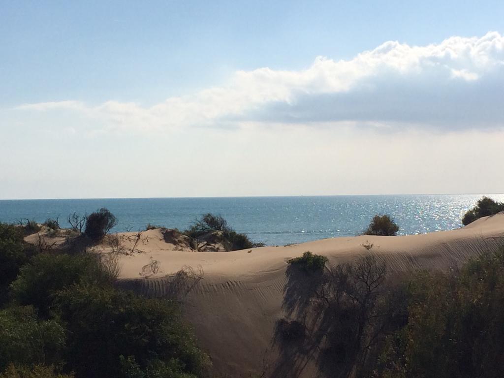 Le Dune Aparthotel Santa Maria Del Focallo